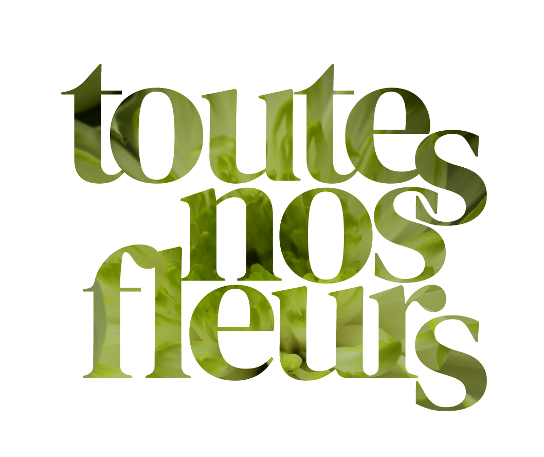 La boutique L'Ange Fleuri Toutes nos fleurs